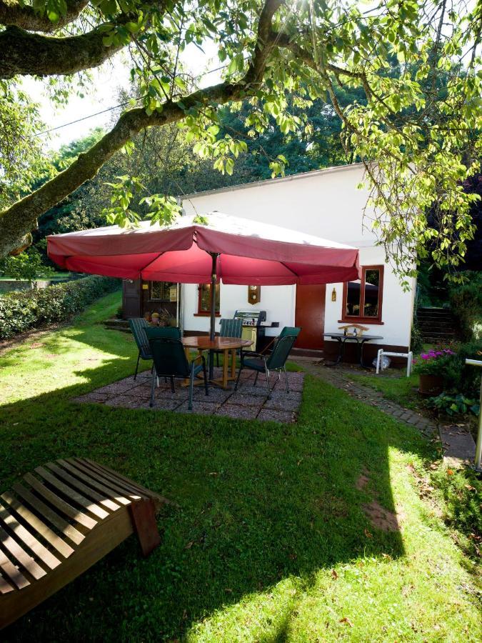 Ferienwohnung Zum Deichgrafen Лосгайм Екстер'єр фото